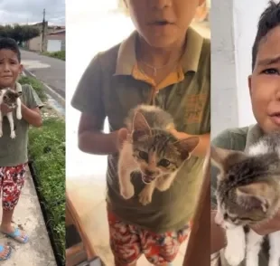 O resgate de gatos de rua é cheio de benefícios para as crianças e adultos  (Créditos: Instagram / @ainoa_xaves)