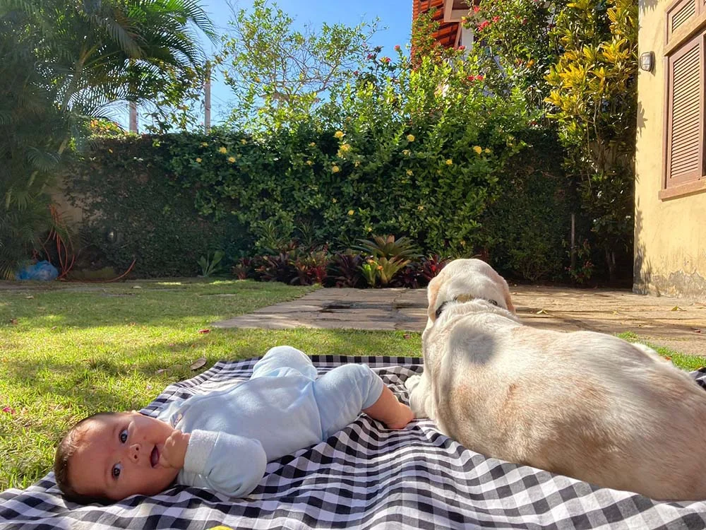 O Guga é um pet que protege o bebê Martin não importa o lugar