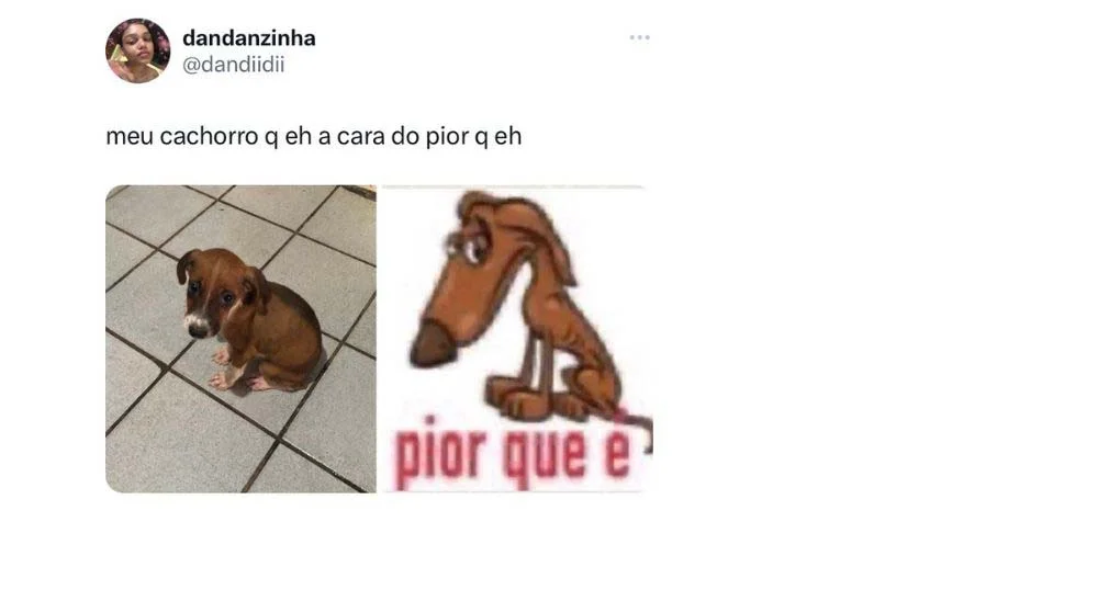 Memes de cachorro: o primeiro tweet que deu início à thread foi esse