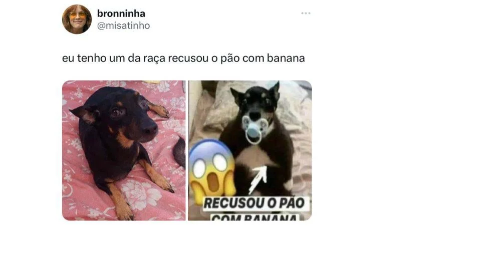 Para ficar igual ao meme de cachorro