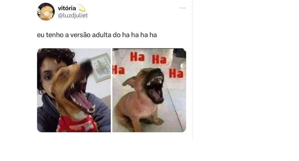 Já imaginou um cachorro rindo? Pois tem até meme disso!