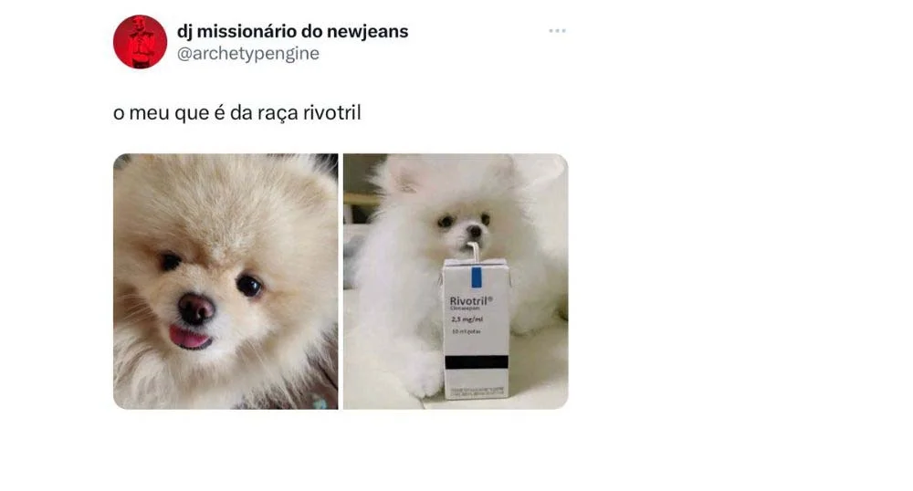 A raça de cachorro rivotril