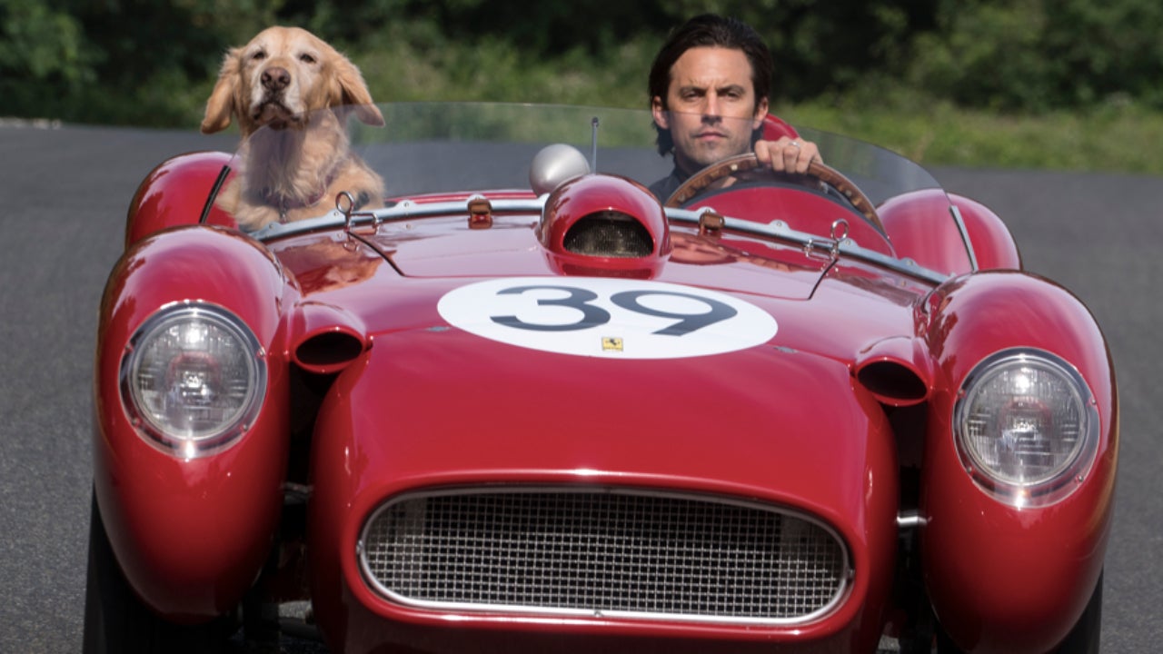 Tutor e cachorro em carro esportivo vermelho