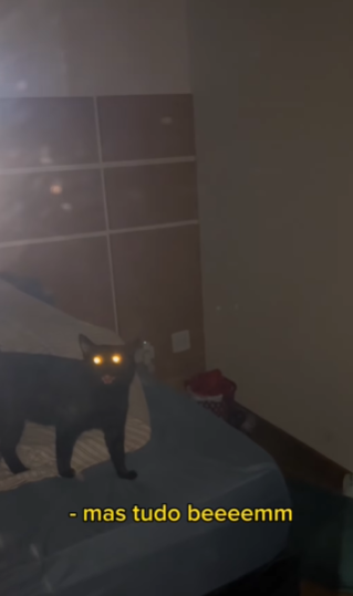 gato preto com a boca aberta em cima da cama