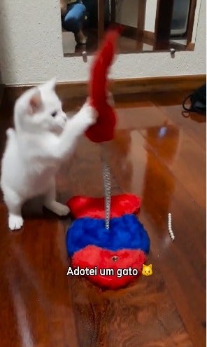 Gato branco brincando com um brinquedo interativo 