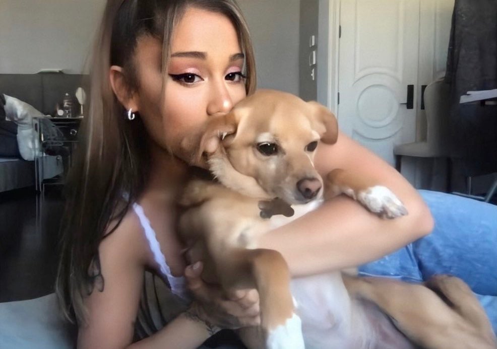 Ariana Grande dando beijinho em cachorro