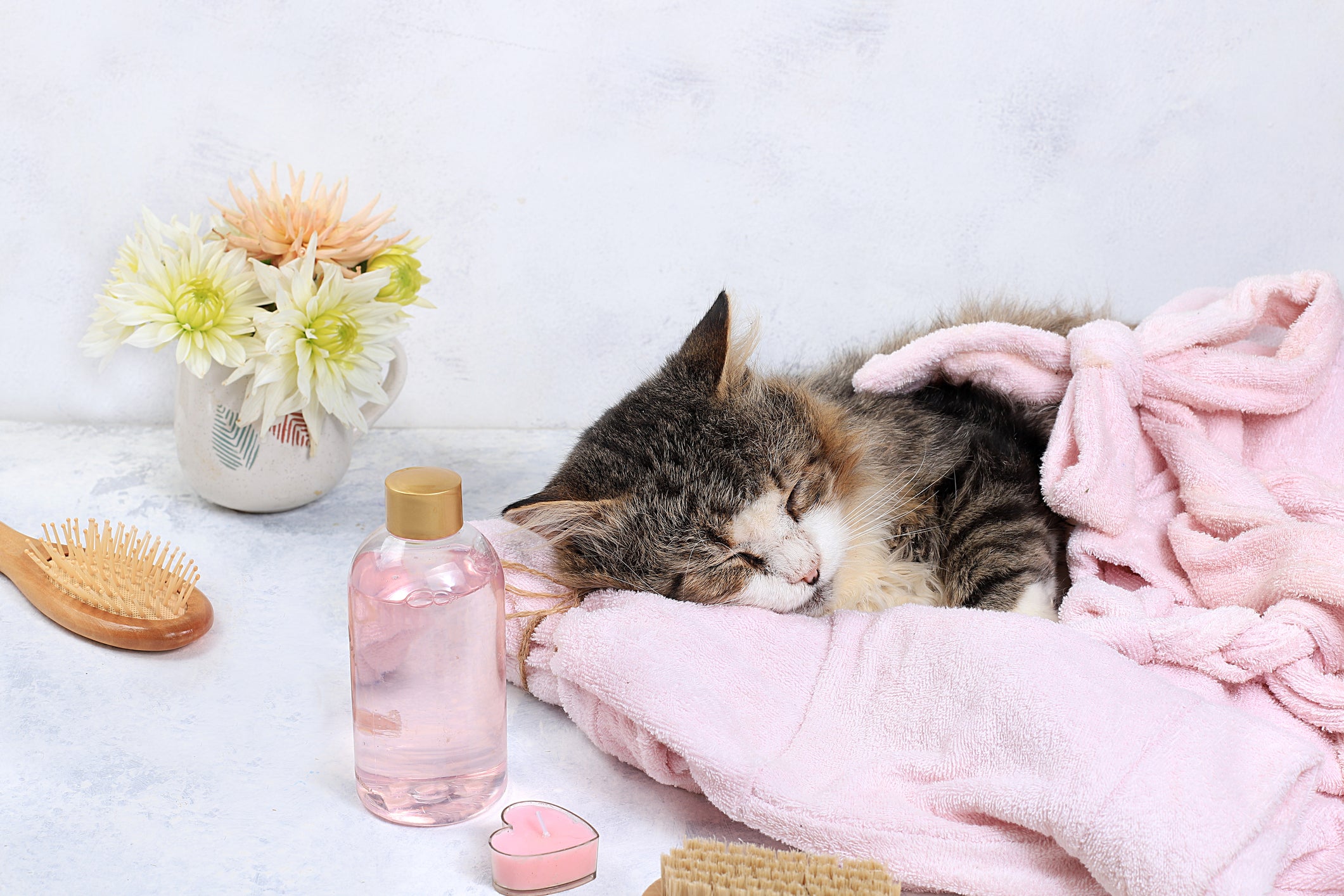 Gato dormindo perto de produtos cheirosos e relaxantes
