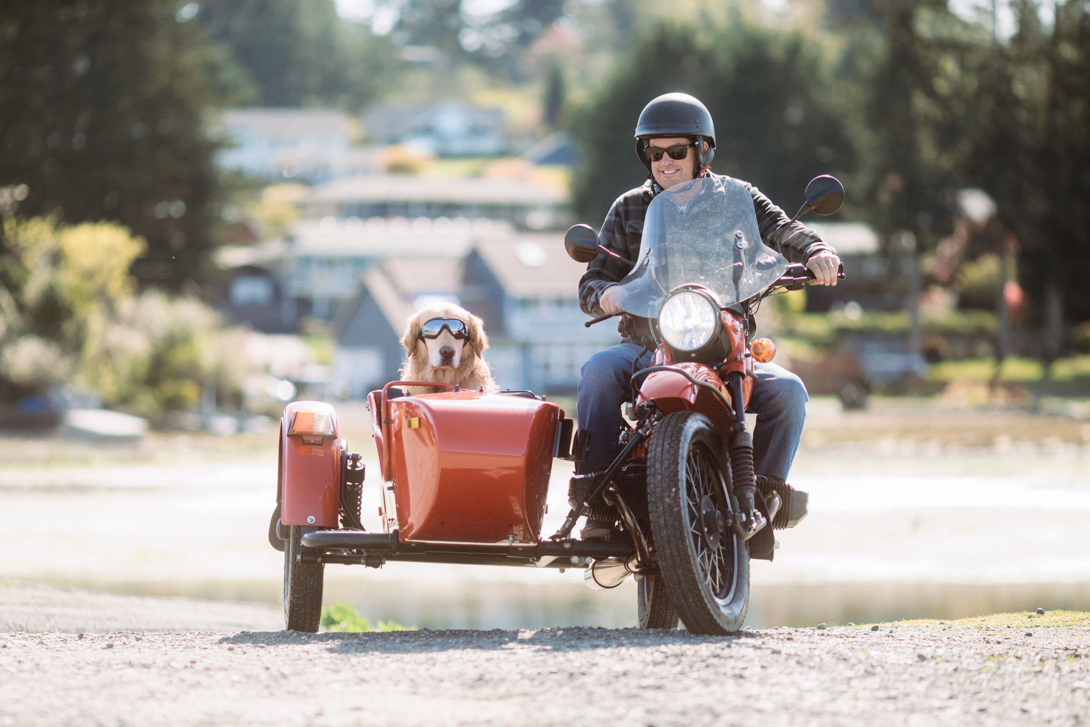 Tutor levando cachorro em passeio de moto