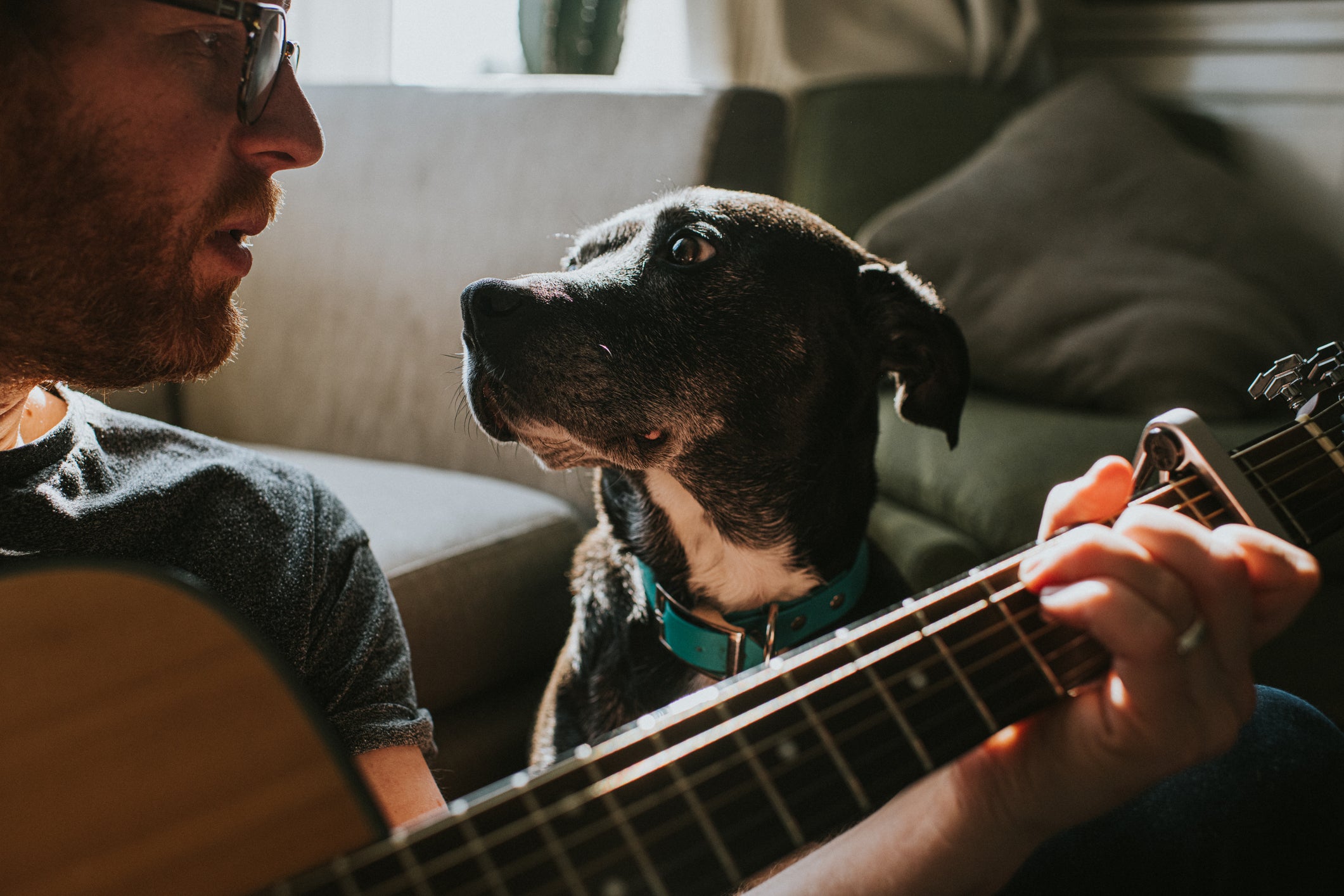 Tutor tocando violão enquanto é observado por cachorro