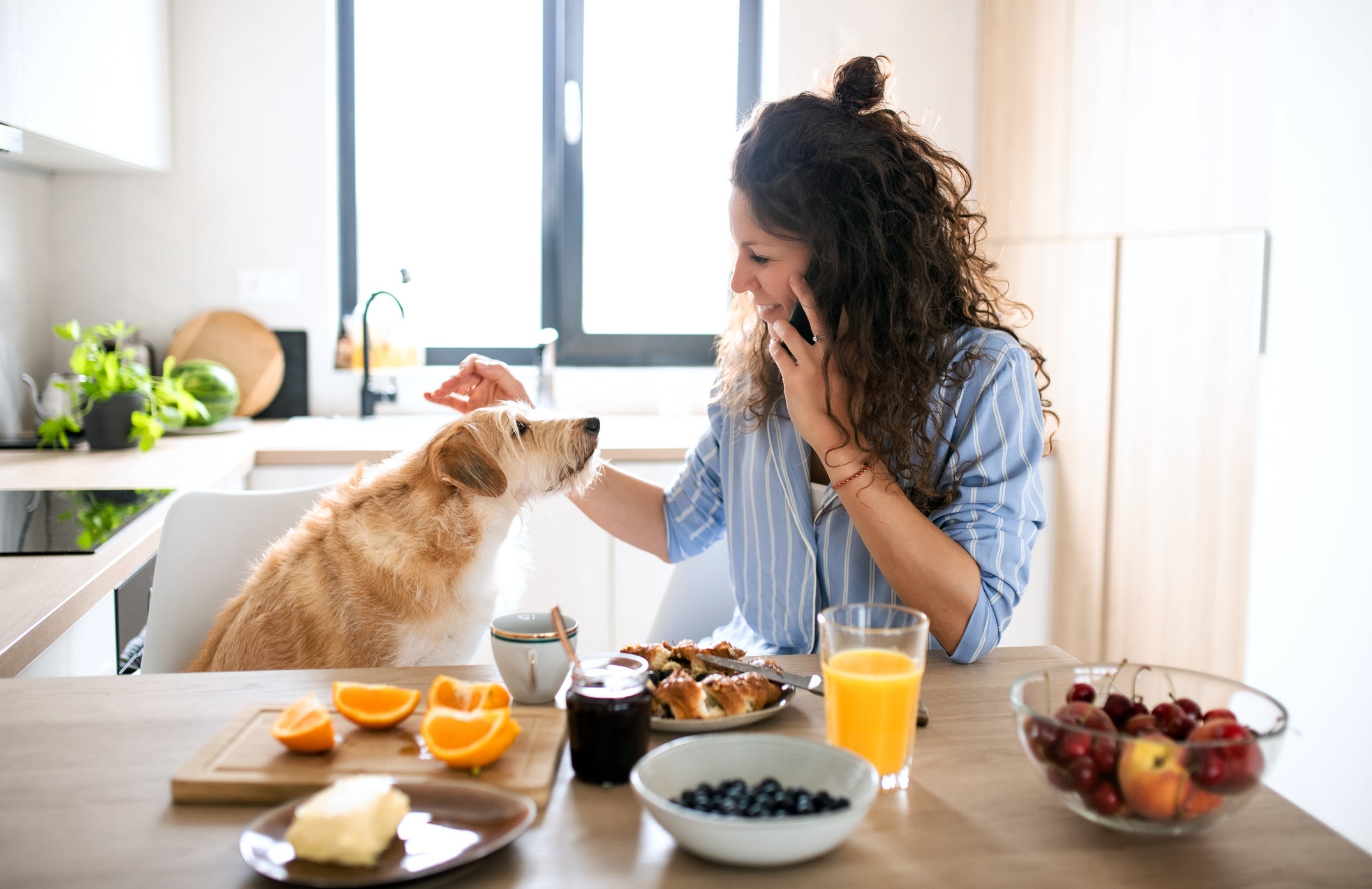 Cachorro e tutora em mesa de café da manhã com várias frutas