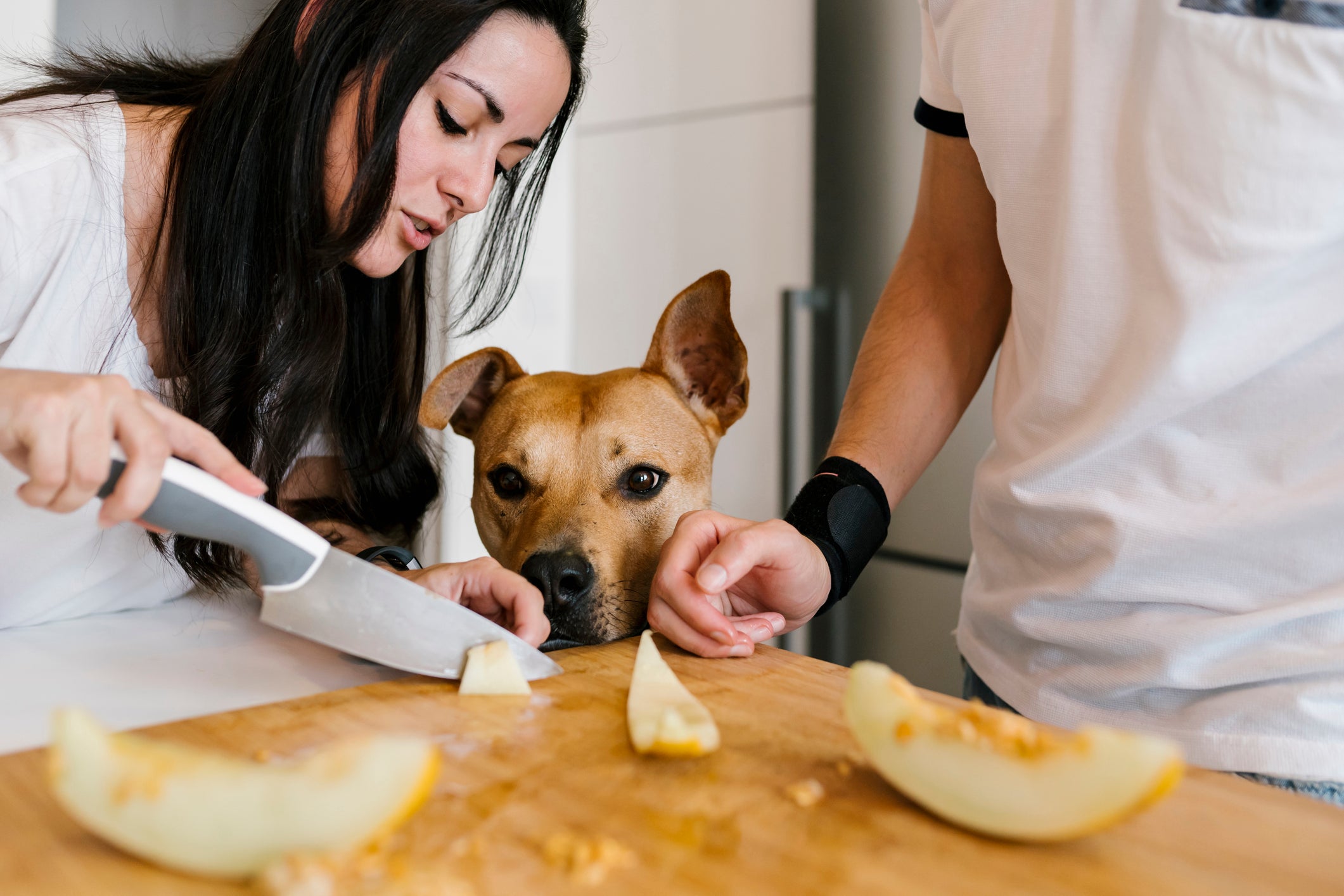 Tutores cortando melão enquanto cachorro observa