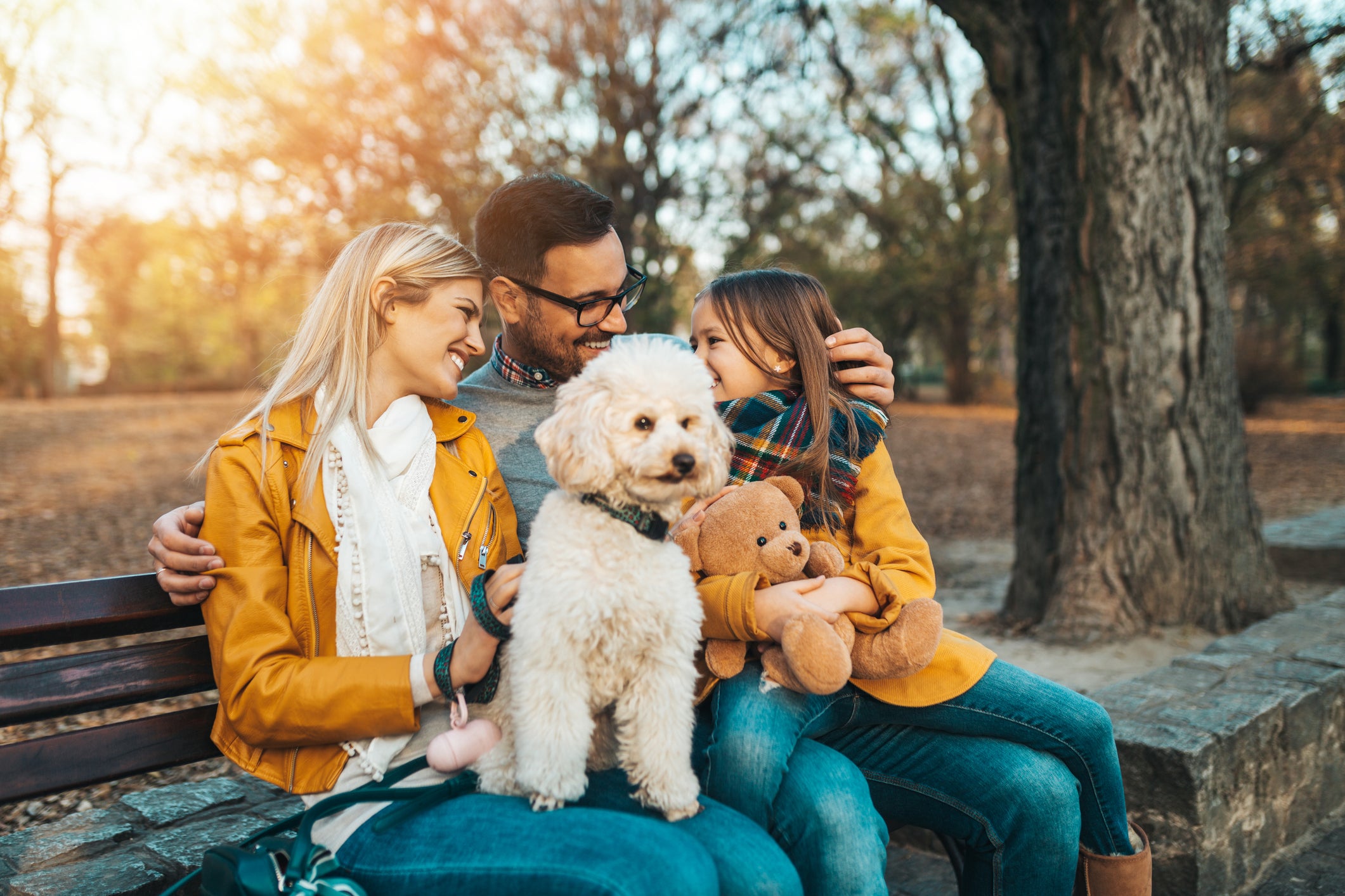 Poodle branco junto com família humana sentados em banco de parque
