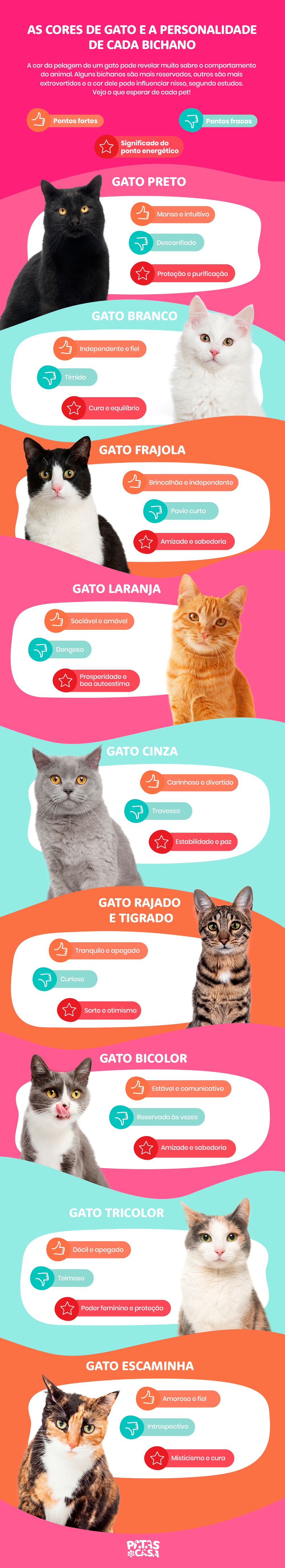 infográfico sobre personalidade e cores de gato