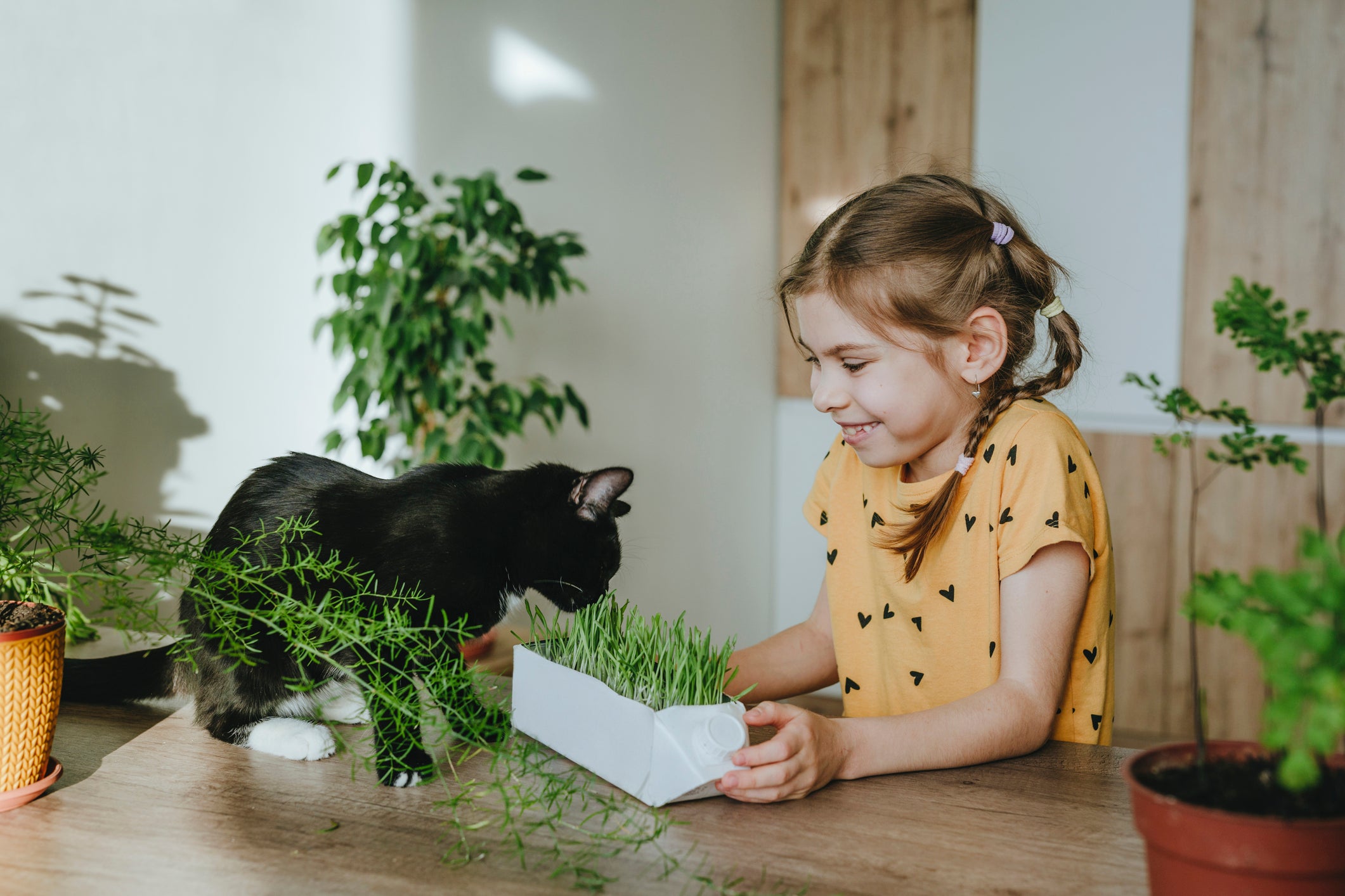 Gato preto cheirando planta ao lado de menina