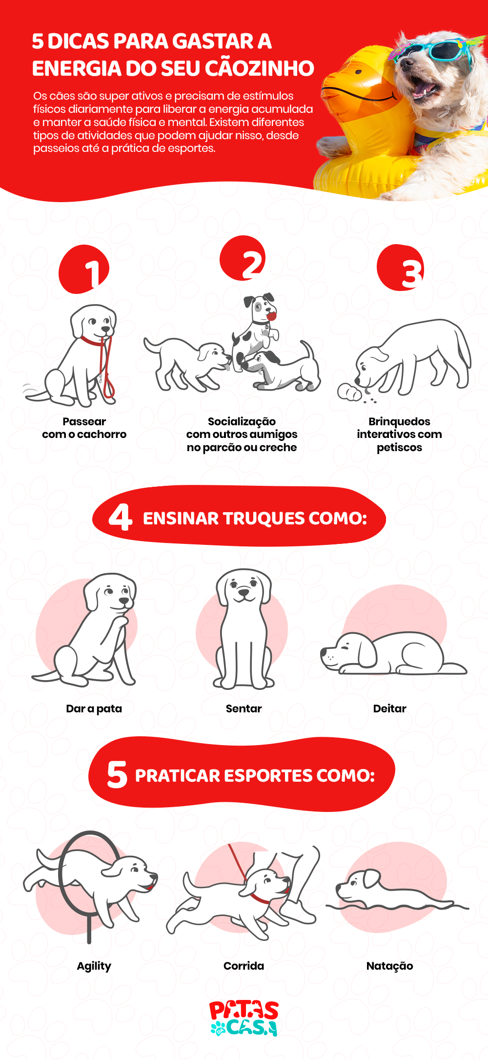 Infográfico com 5 dicas de como gastar a energia de cachorro