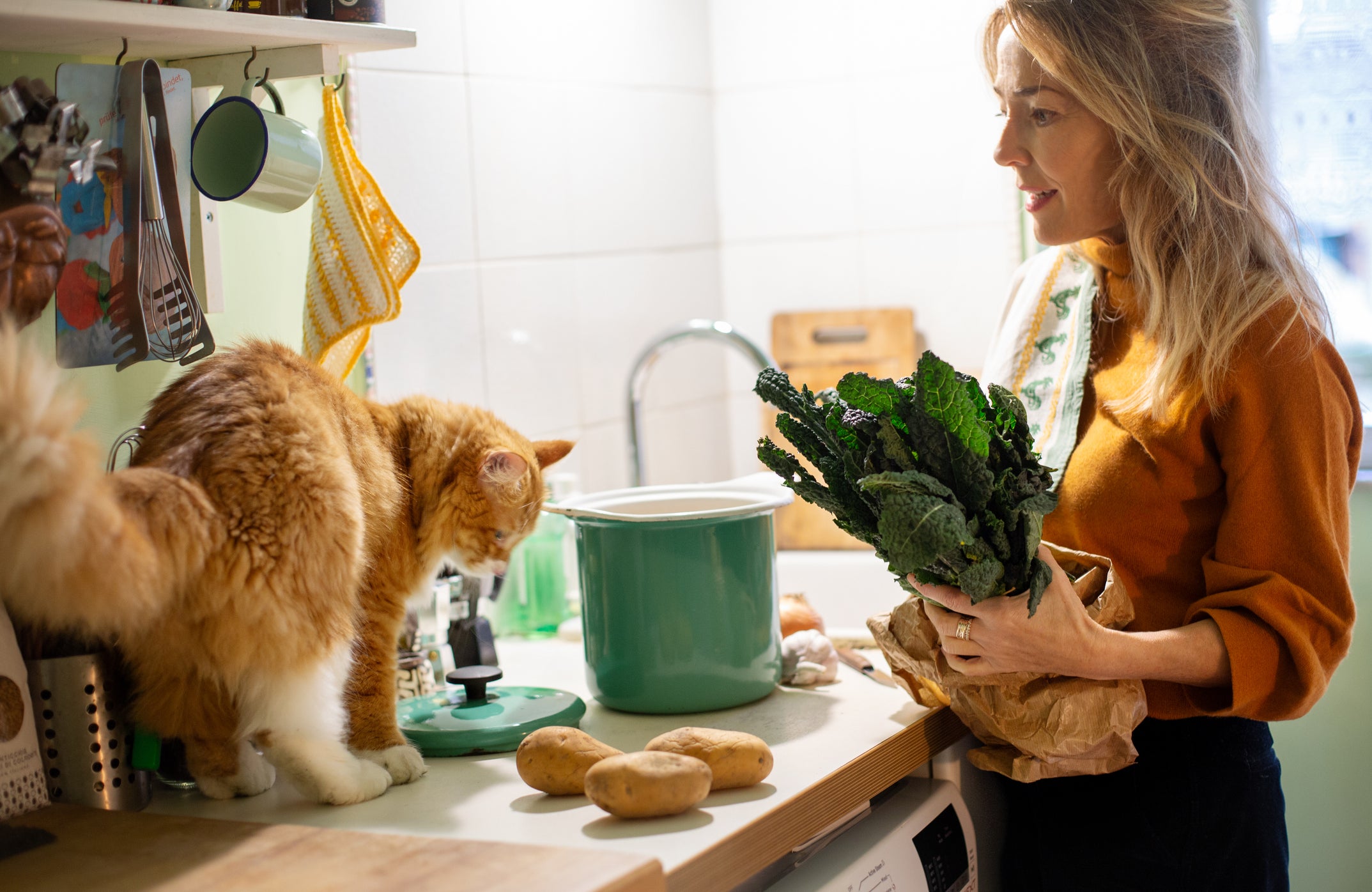 Gato em cima de bancada olhando para batatas enquanto sua tutora o observa segurando verduras