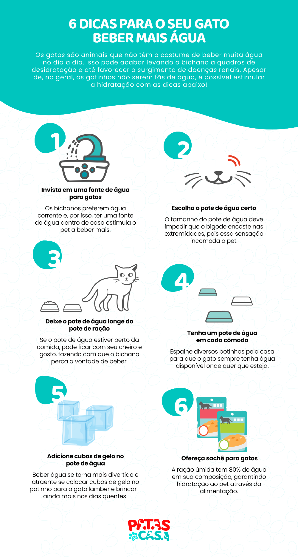 Infográfico com dicas para gato beber mais água