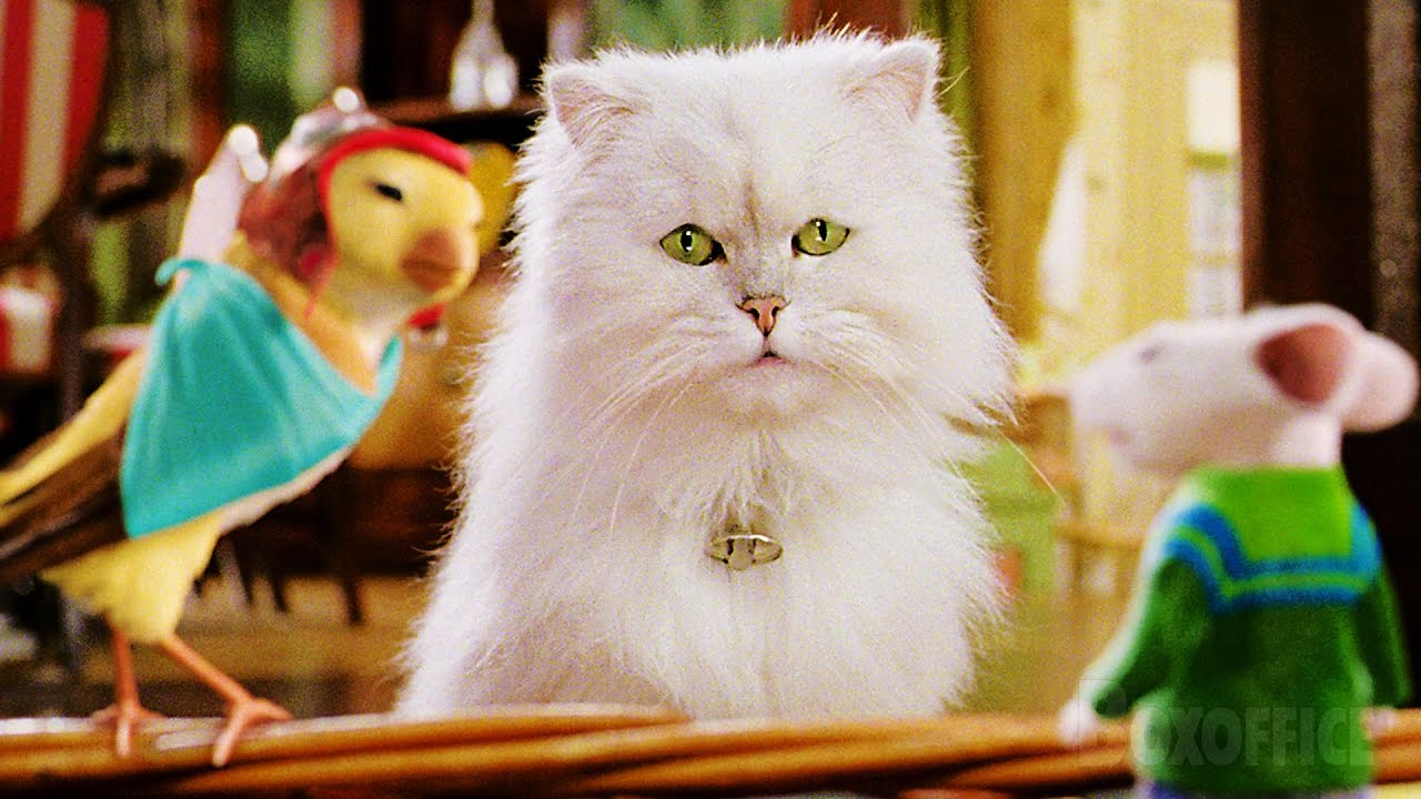 Gato Snowbell do filme "O Pequeno Stuart Little"