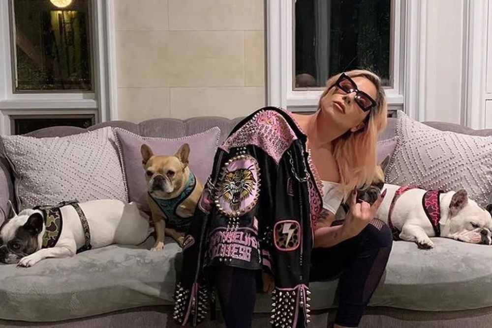 Lady Gaga com seus cachorros no sofá