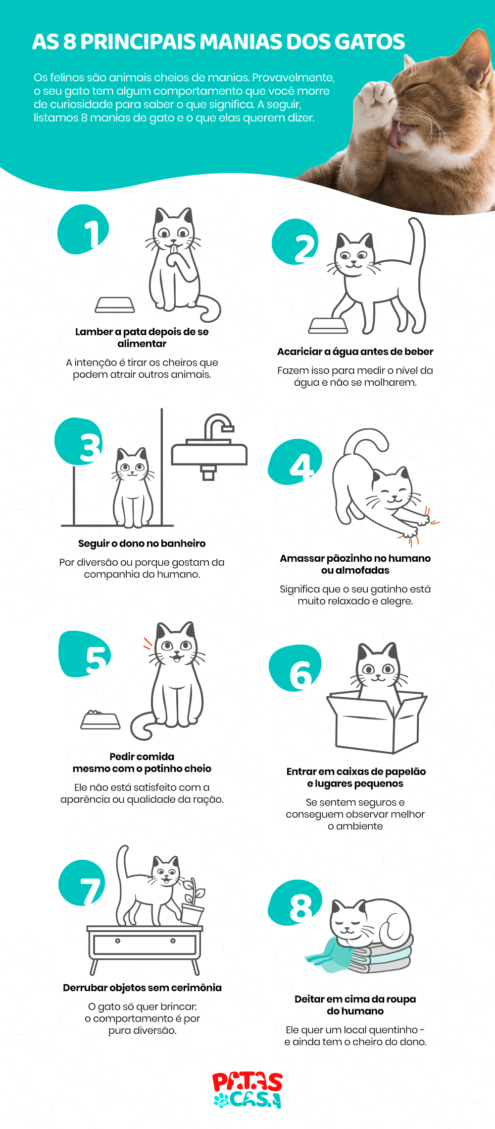 Infográfico mostrando as 8 principais manias de gatos
