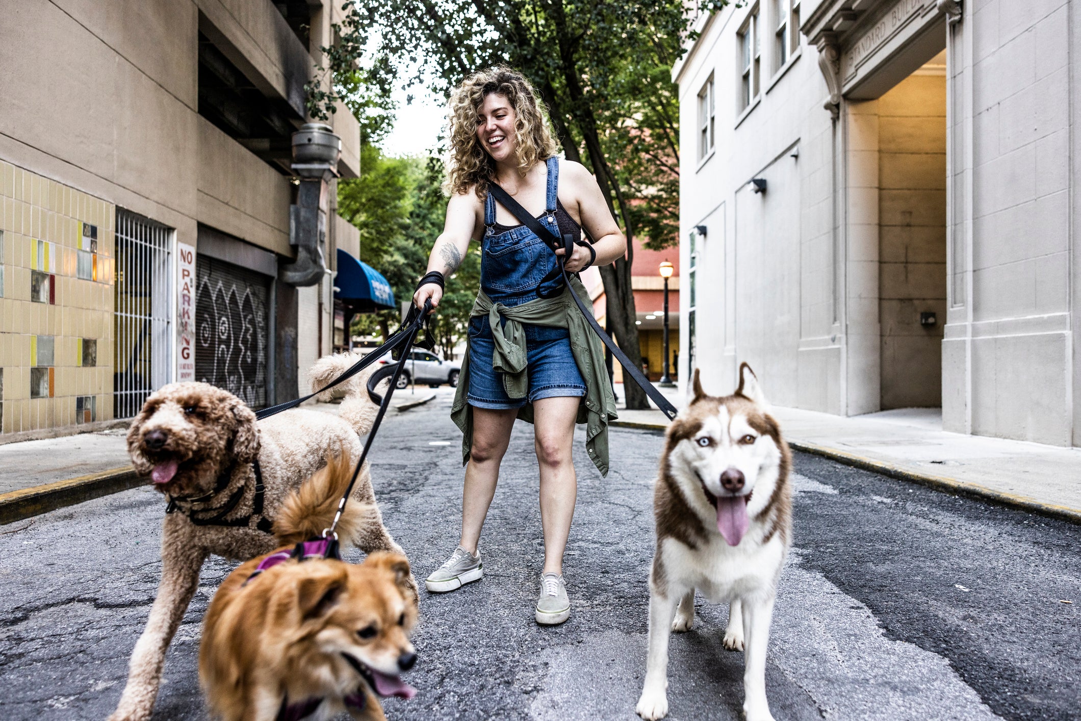 Mulher passeando na rua com três cachorros
