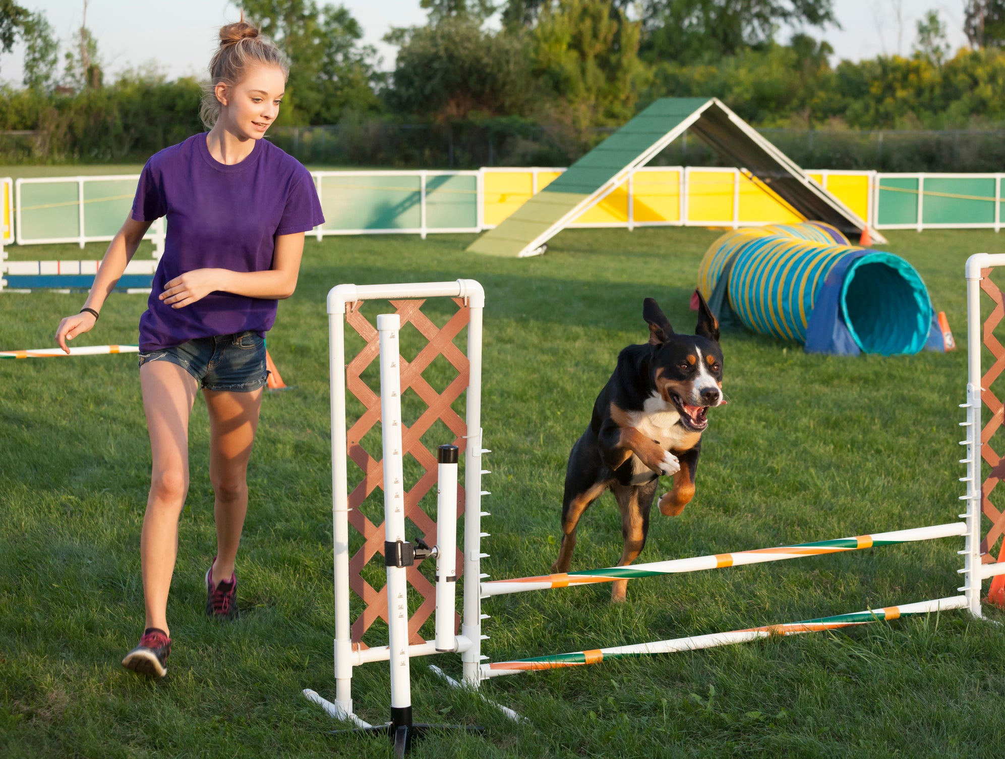 Cão e tutora correndo em playground com obstáculos