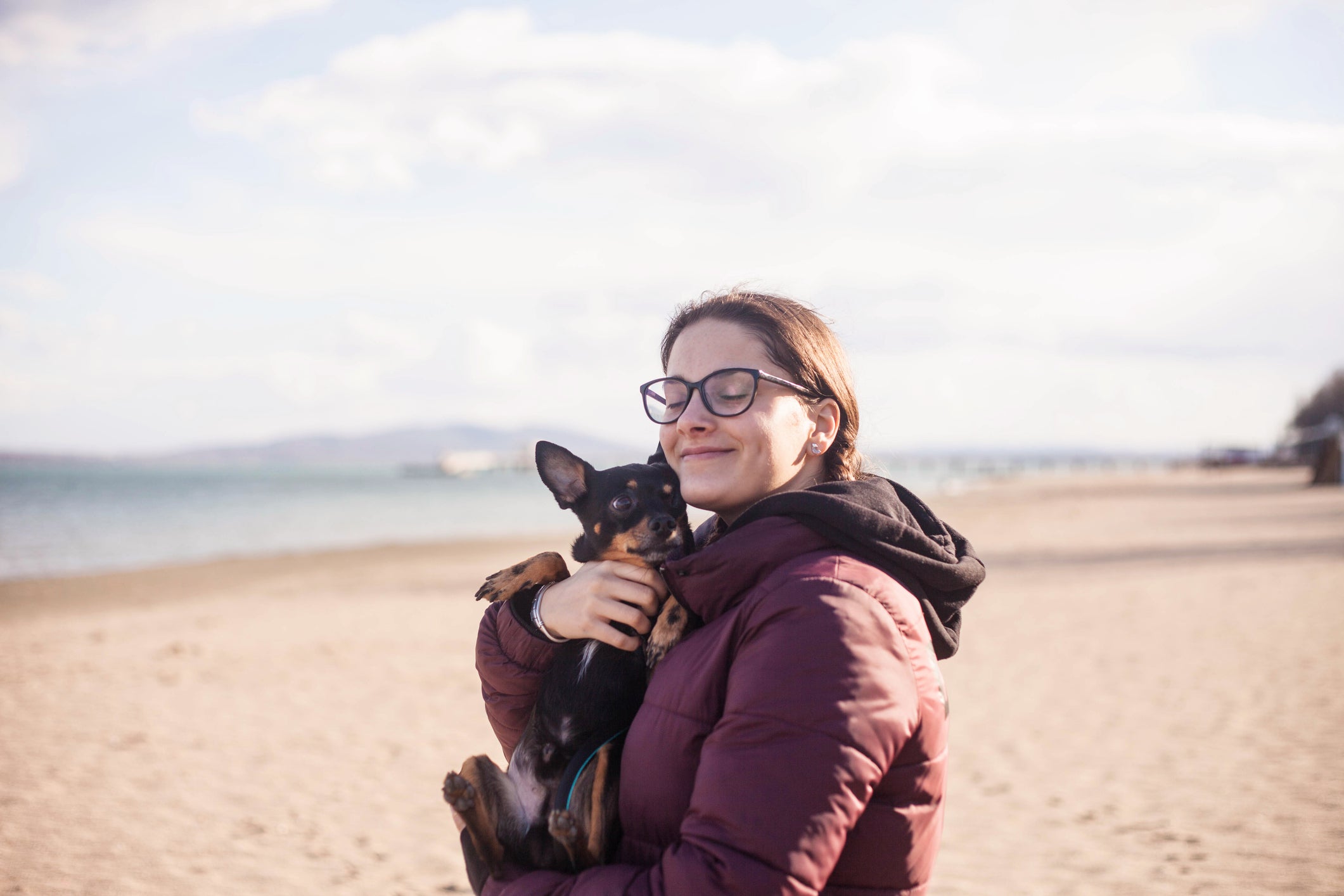 Tutora abraçando cão Pinscher em praia