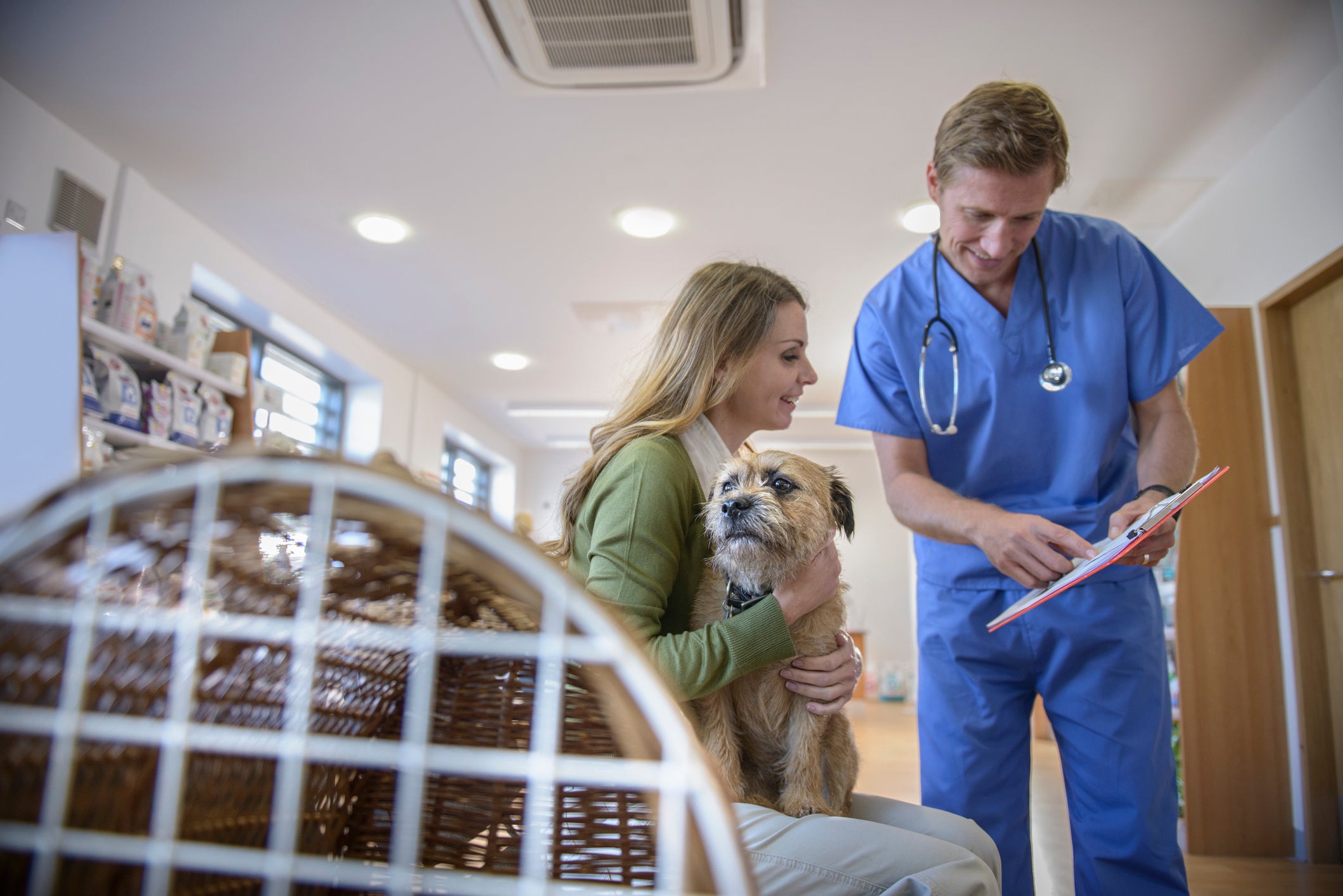 Veterinário mostrando prancheta para tutora segurando seu cachorro em consultório médico