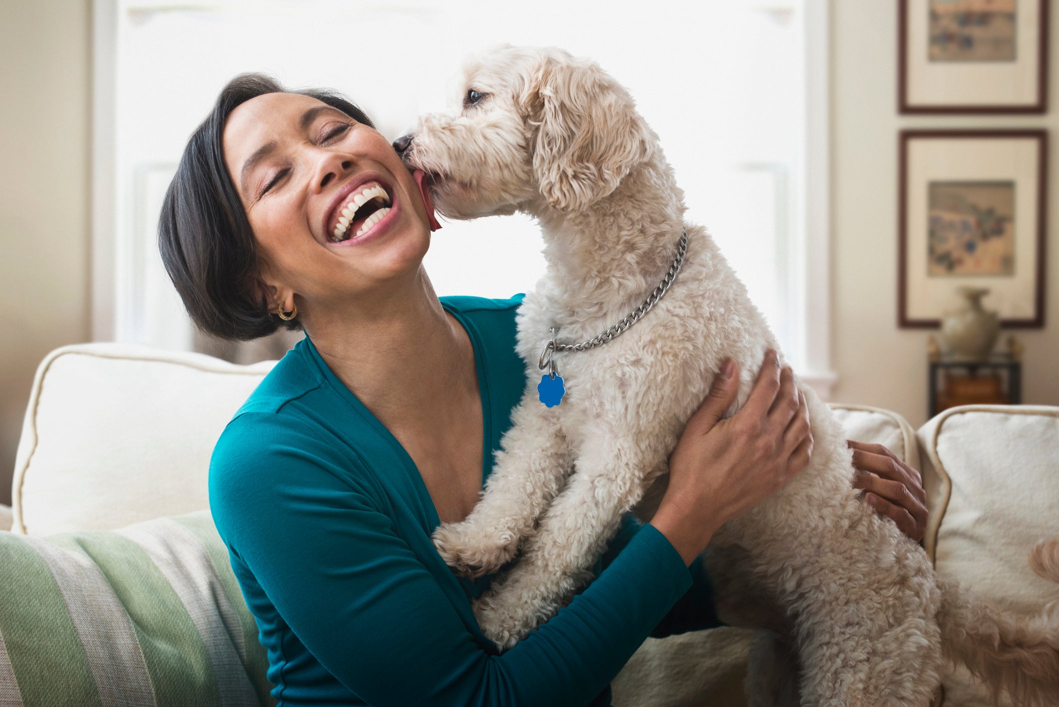 Cachorro lambendo rosto de mulher sorridente dentro de casa