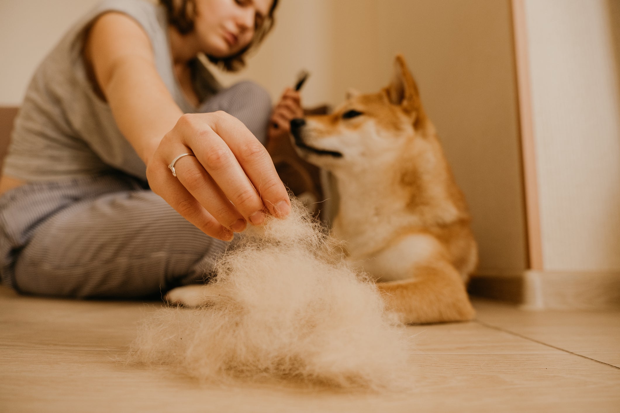 Tutora tirando excesso de pelo de seu cão