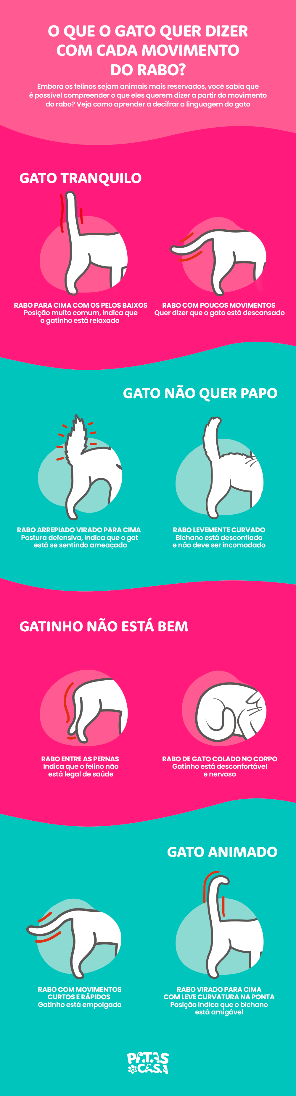 Significado Do Rabo Do Gato Librain 4206