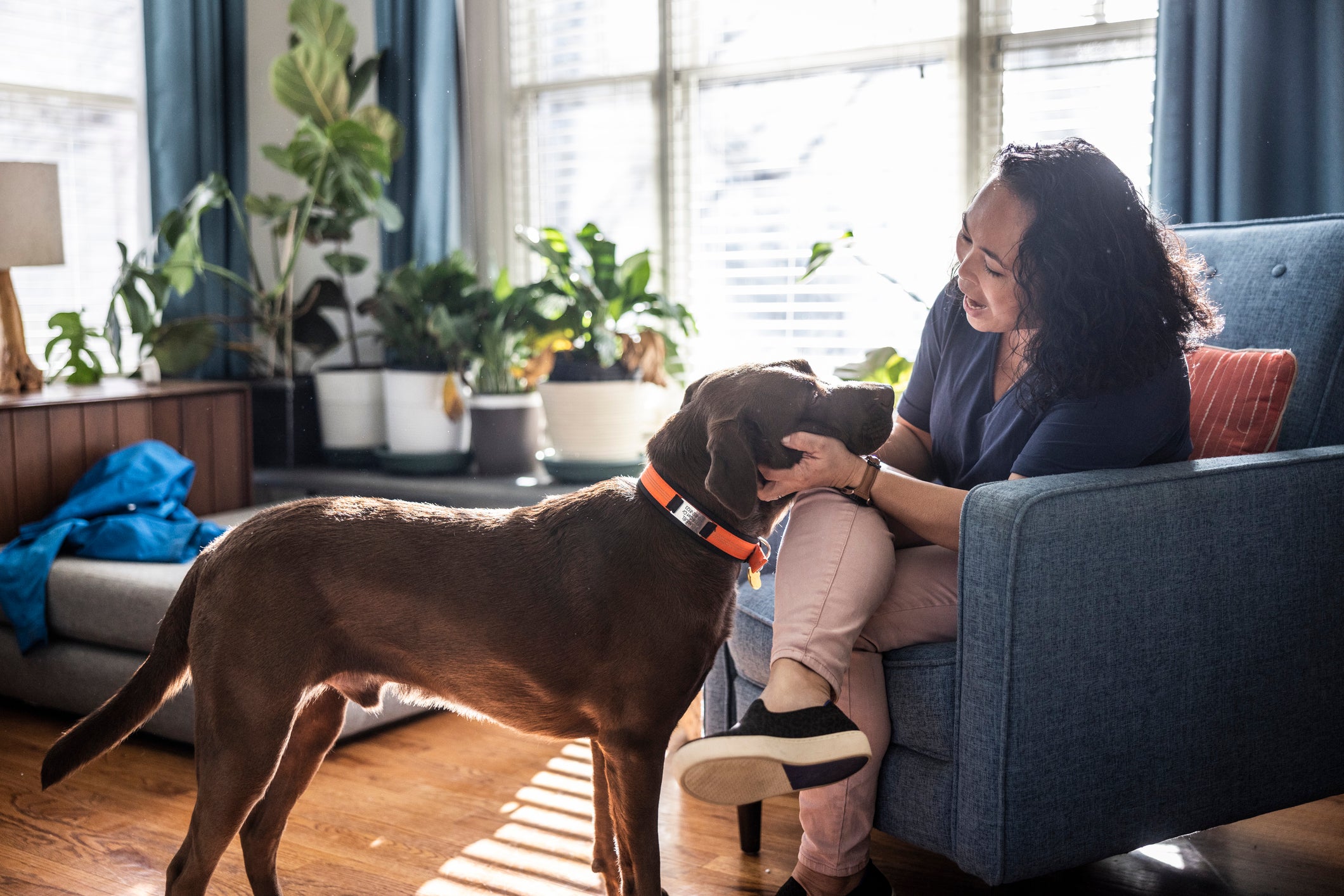 Cachorro grande e marrom recebendo carinho de tutora em sala de estar