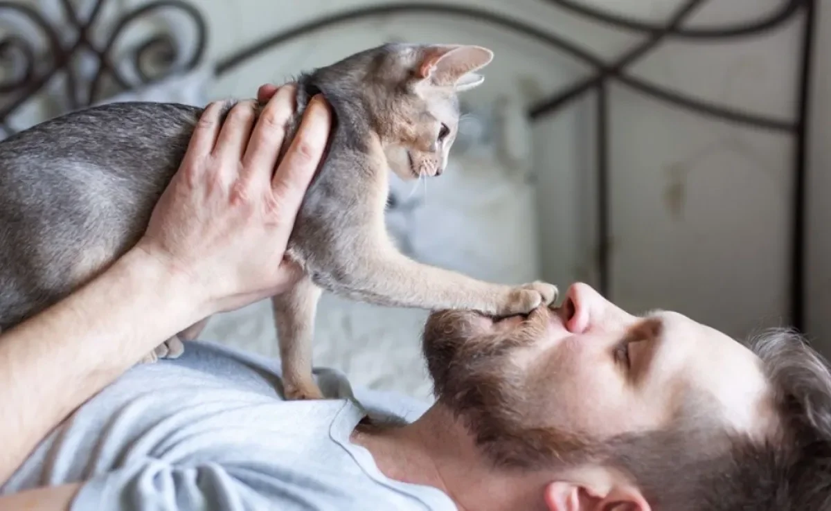 A pata de gato no rosto do dono pode ter diferentes significados