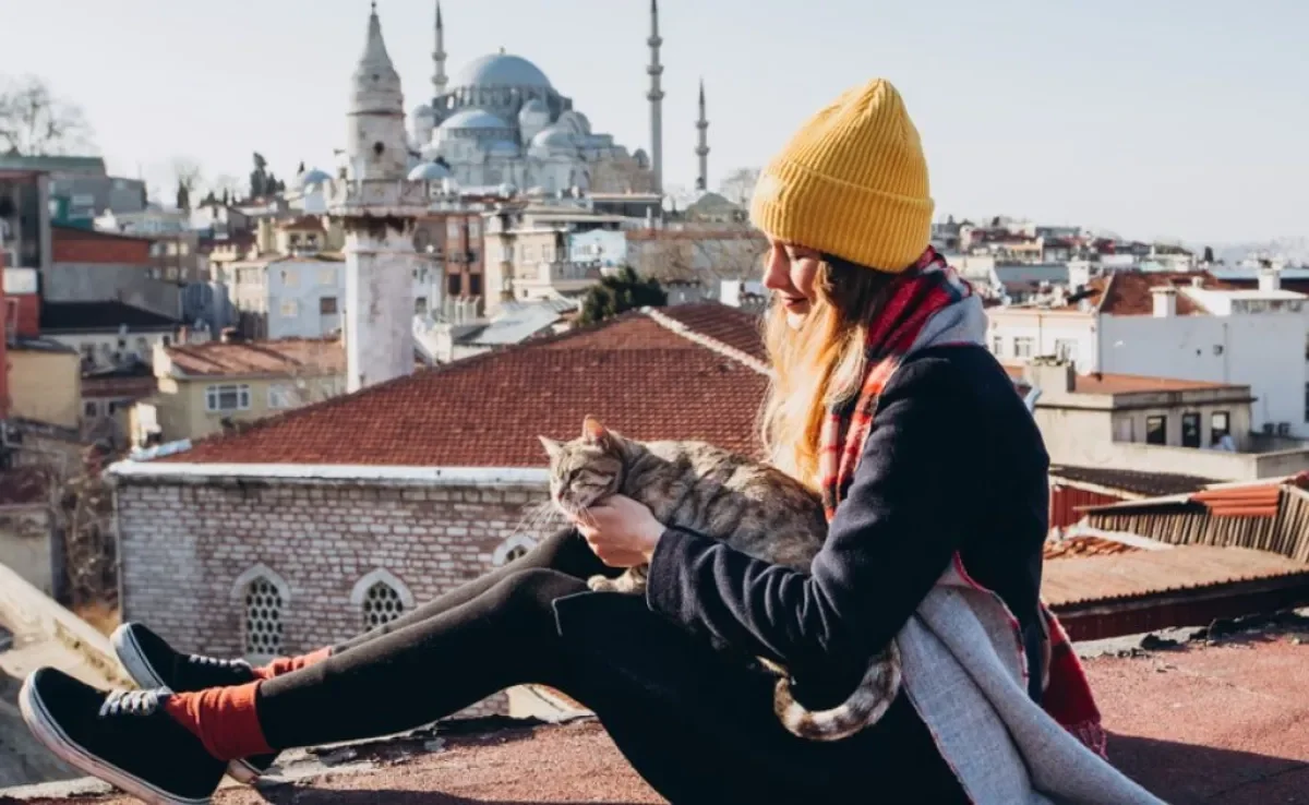 Em Istambul, gatos são muito queridos e viraram paixão nacional