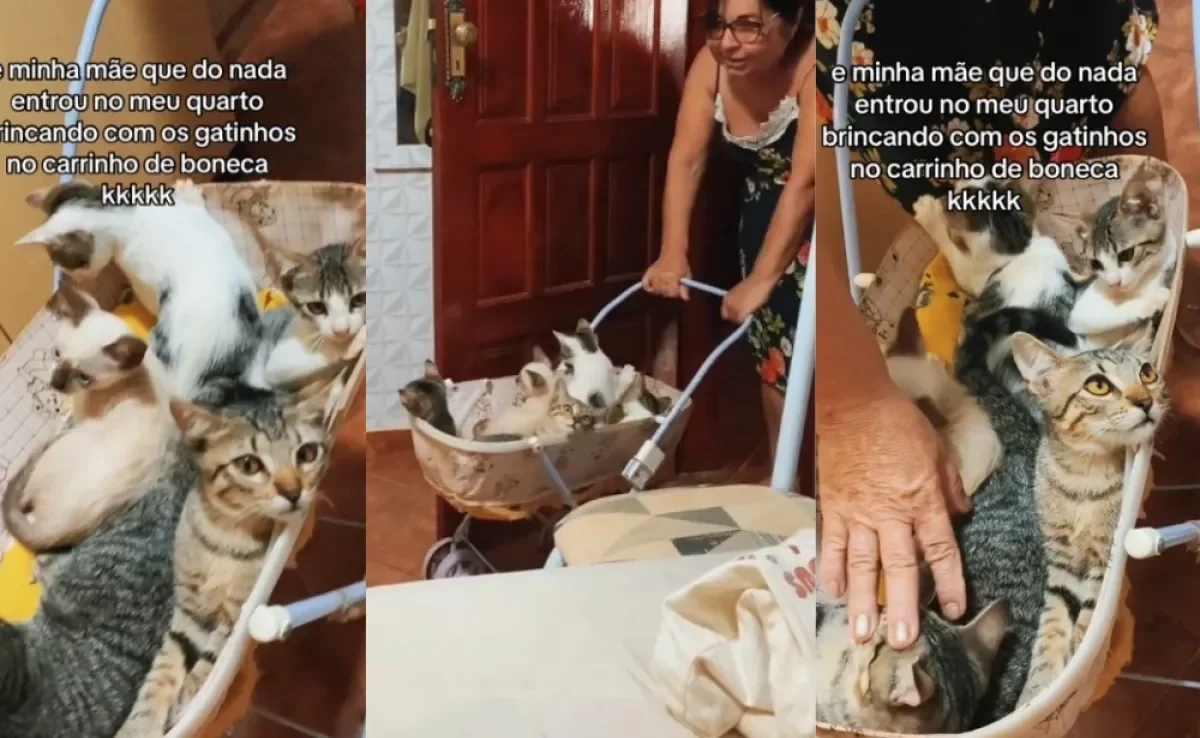 Avó de pet provoca boas risadas nos internautas com jeitinho peculiar de cuidar dos netos (Créditos: Tiktok/ rosielemachadoc)