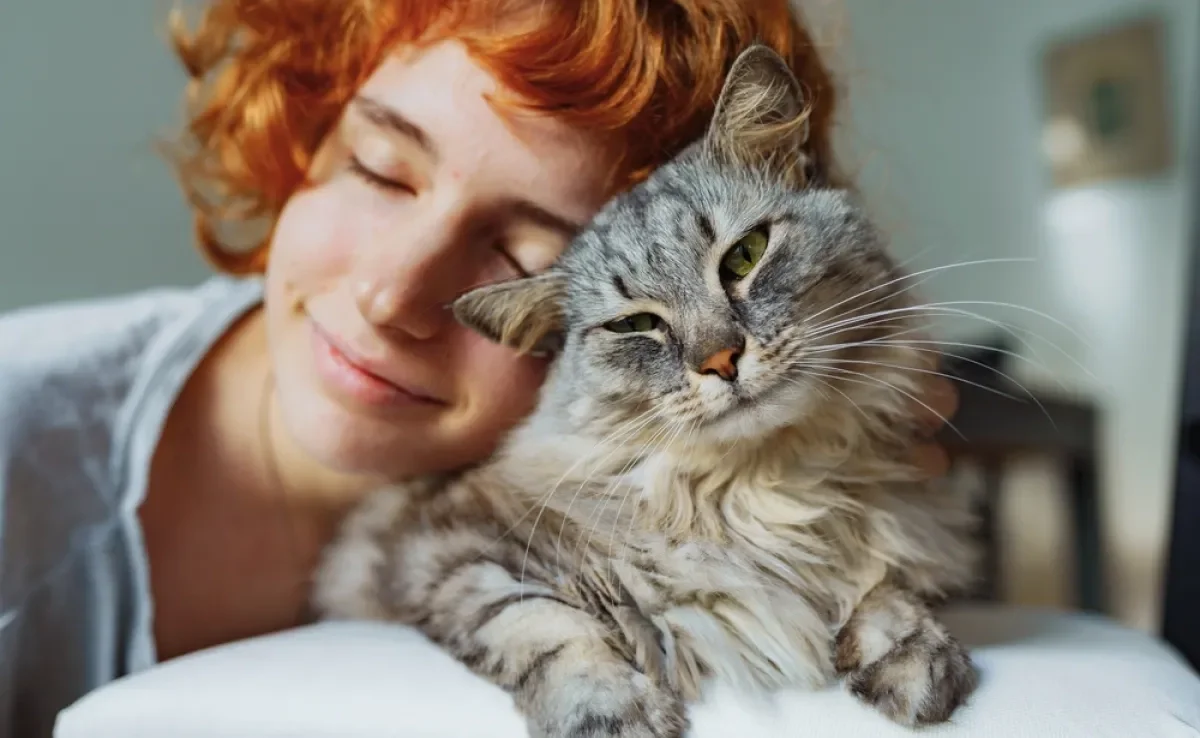 O amor de gato não é tão difícil de ser conquistado quanto parece