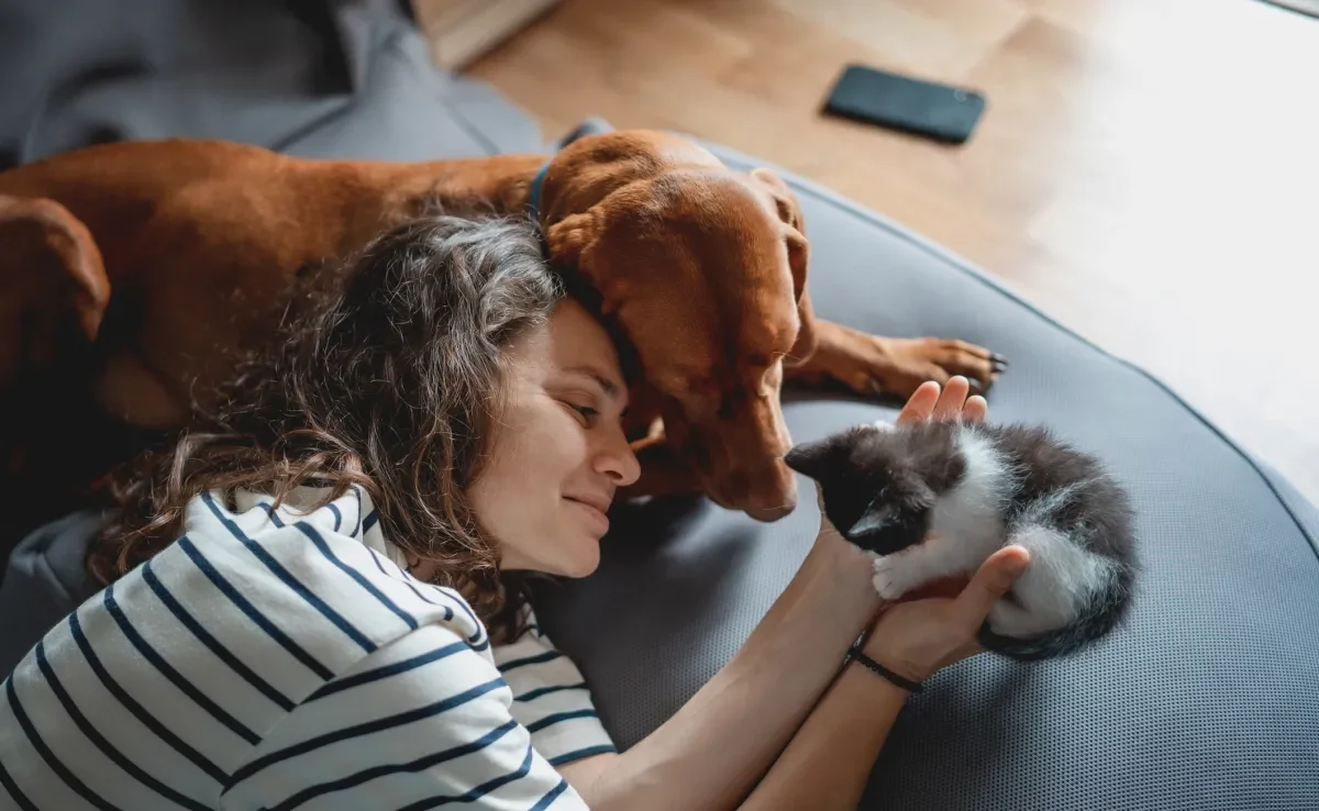 No Dia dos Namorados Pet, você pode aproveitar a companhia do seu bichinho de estimação