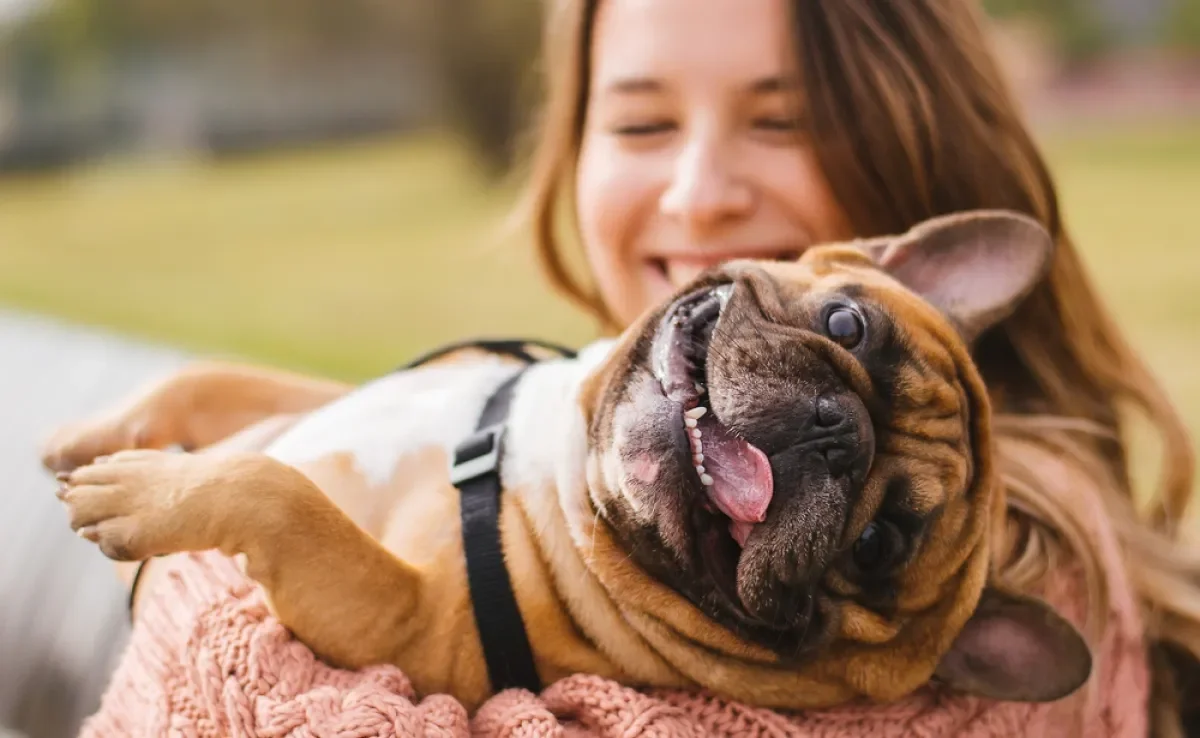 Algumas frases de cachorro podem servir de inspiração para os seus textos sobre seu aumigo