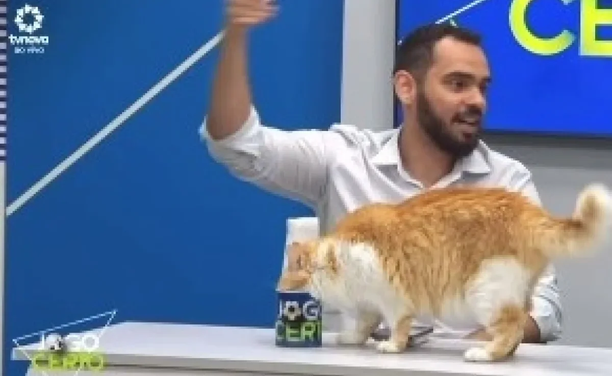 Gata laranja invade programa de TV para beber água de convidado (Créditos: Instagram/@kelvinmaciel)