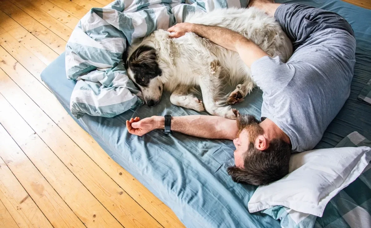 A ideia de que dormir com cachorro faz mal não é real