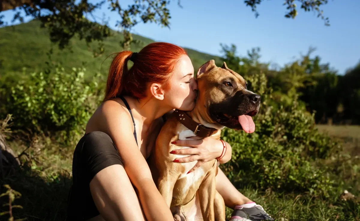 O amor de cachorro por você se revela nos pequenos detalhes