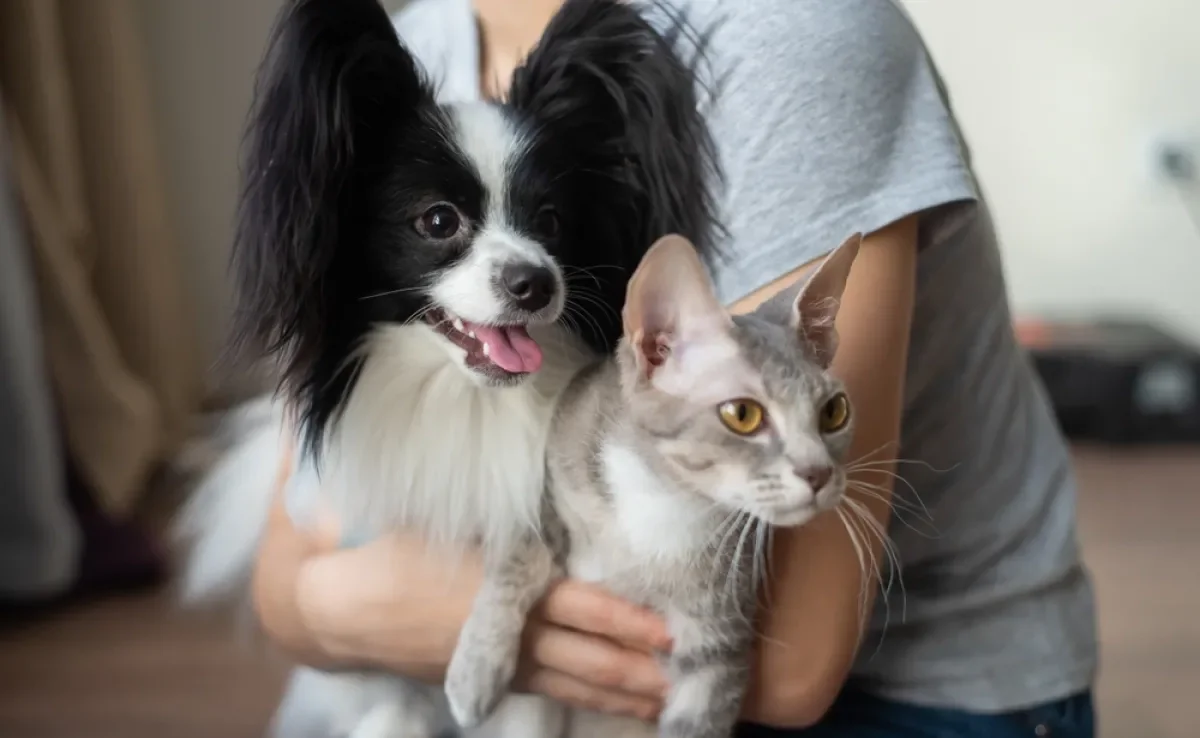 Não importa se você tem um cachorro ou gato: o Patas da Casa fica feliz em ter ajudado todos os tutores!