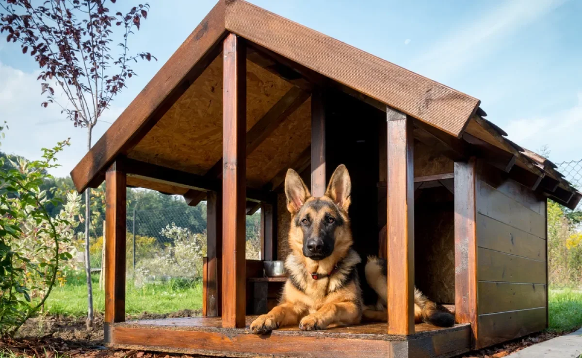 A casinha para cachorro grande deve ser apropriada para o tamanho do pet