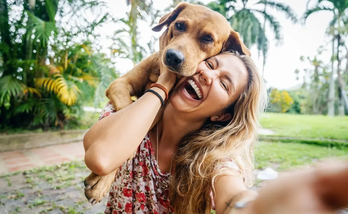 O ato de adotar um cachorro adulto pode salvar a vida de um pet