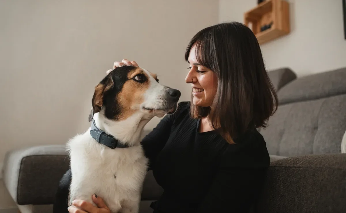 Adotar um cachorro pode te trazer benefícios que você nem imagina