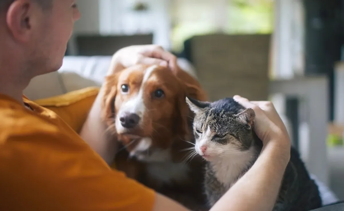 O pet, dependendo da espécie, pode ter uma percepção diferente dos humanos