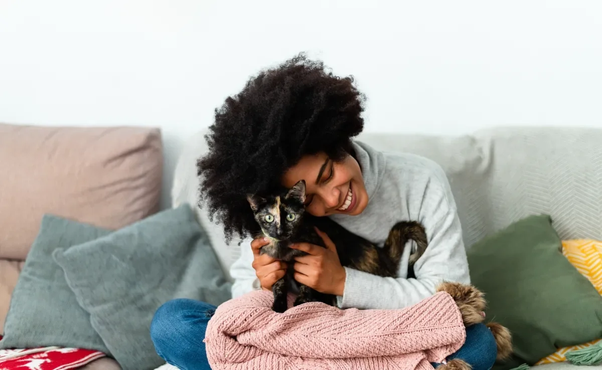 Confira algumas dicas de como escolher um cat sitter de confiança 