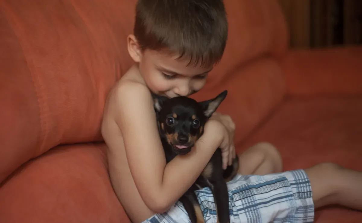 Veja quais são as raças de cachorro que não se dão bem os pequenos 