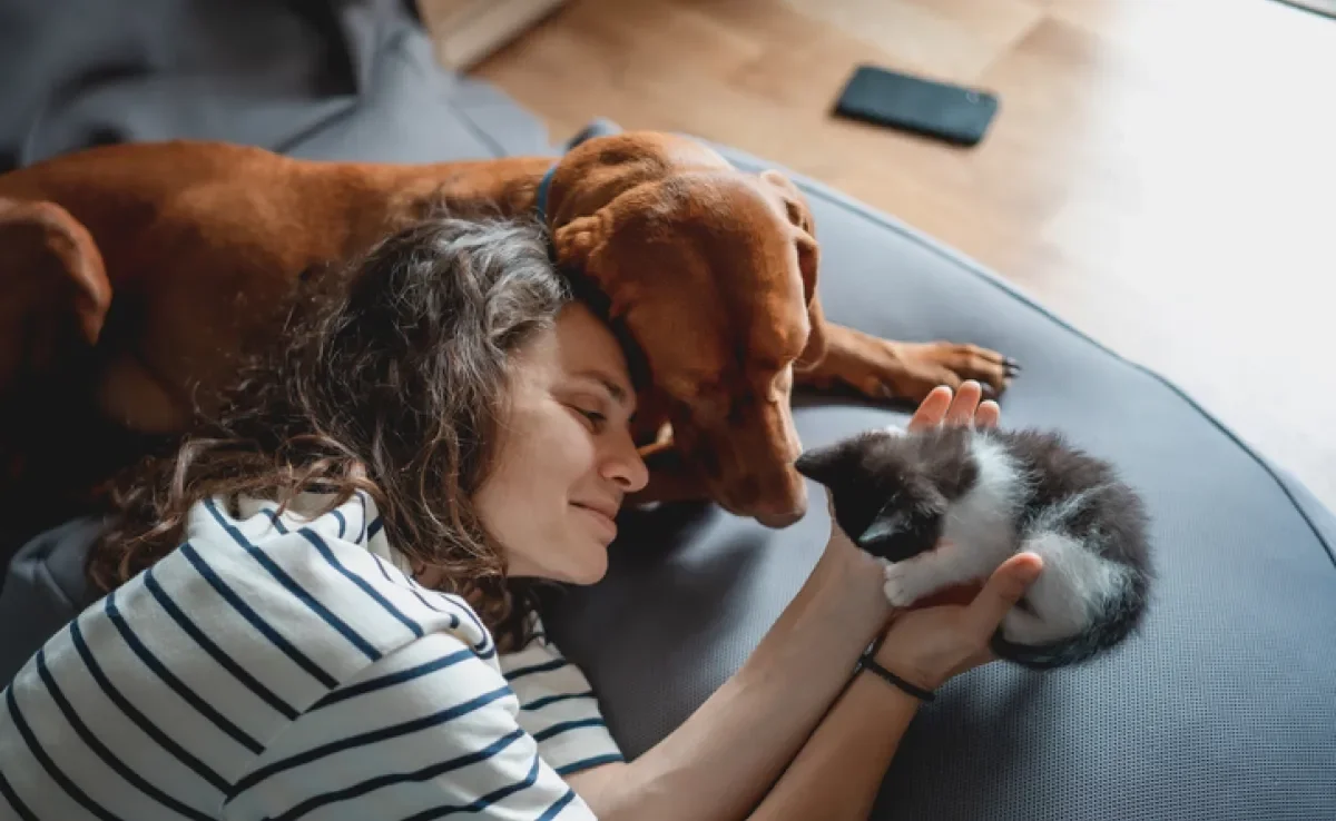 Manter uma convivência harmoniosa entre cachorro e gato juntos é super possível