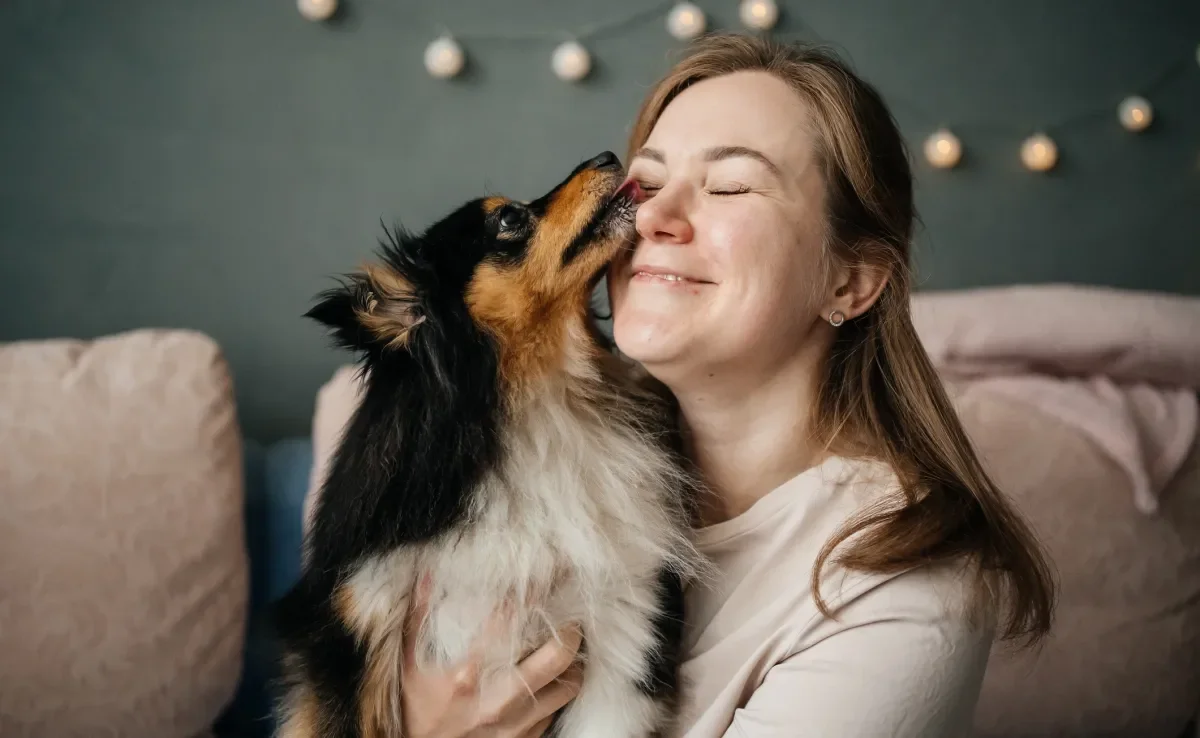 Veja algumas dicas para se tornar o melhor amigo do seu cachorro